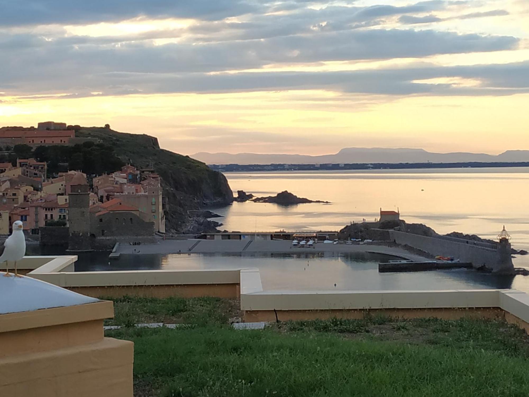 Location Vue Mer Du Samedi Au Samedi, Clim, Parking, Piscine, Plage Колліур Екстер'єр фото